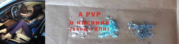 стаф Алексин