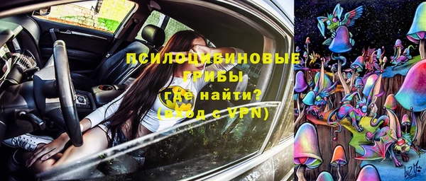 стаф Алексин