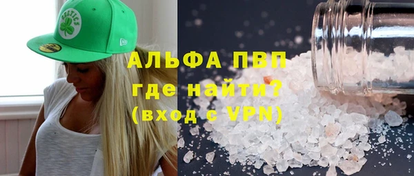 стаф Алексин