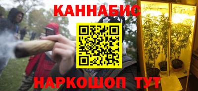 СК Вязьма