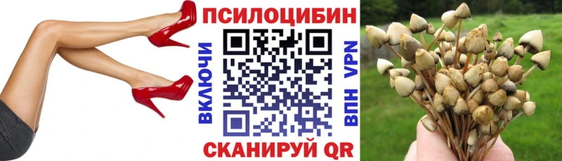 Галлюциногенные грибы мицелий  Нарьян-Мар 