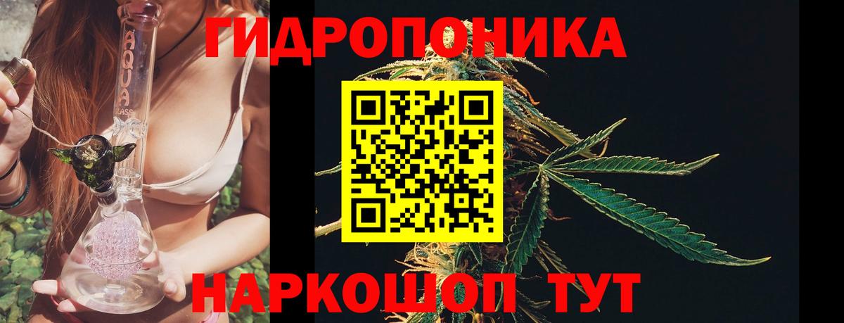 Марихуана марихуана Нарьян-Мар